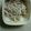 linhua's cooksnap of when they made 【レンジで】吉野家のゴボウサラダ【簡単】.