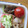 hirotofumi's cooksnap of when they made 簡単★お弁当★　こんにゃくの炒り煮.
