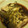 くまかり's cooksnap of when they made 冷凍カレイ（切り落とし）の煮付け.