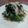 sattisatty's cooksnap of when they made 水菜をパッと茹でてめんつゆミゾレ和え♪.