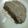 SILK0205's cooksnap of when they made ｢白菜と挽肉の重ね蒸し｣.