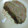 SILK0205's cooksnap of when they made ｢白菜と挽肉の重ね蒸し｣.