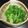あゆにゃん's cooksnap of when they made ほうれん草のおひたし.