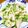 B子chan's cooksnap of when they made 蓮根と水菜のシャキシャキ炒め.