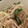 ホトボリ's cooksnap of when they made えのきともやしのナムル風.