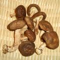mikochang's cooksnap of when they made 自家製？干し椎茸♪.