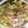 おにかぼちゃ's cooksnap of when they made ハムマリネ.