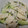 toraneko285's cooksnap of when they made たけのこと新たまねぎのごまマヨサラダ.