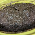 ひぃちゃんひー's cooksnap of when they made お豆腐１パック入＊レンジでチョコケーキ.