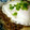 ぺいこの's cooksnap of when they made ピリ辛挽肉と半熟目玉焼きのカフェ丼.