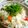 kaeかえちゃん's cooksnap of when they made 生姜たっぷり炊き込みご飯♪.