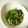 yuuyux's cooksnap of when they made 春菊とほうれん草のおひたし.