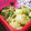 キャシーキャサリン's cooksnap of when they made かいわれ大根となめたけ.