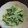 ＊桜猫＊'s cooksnap of when they made 菜の花のマヨネーズあえ.