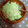 チルコ's cooksnap of when they made ✩エビとアボガドの簡単マヨ和え✩.
