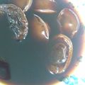 ちなごん♪'s cooksnap of when they made おせち　乾貨二珍　禾麻干鮑と干貝柱姿煮.