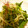 marilin36's cooksnap of when they made ささっと一品！もやしときゅうりのナムル.