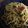 兎に角's cooksnap of when they made 高菜とじゃこのスパゲッティー.