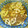 babap's cooksnap of when they made れんこんとひき肉のきんぴら.