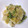 RoomA's cooksnap of when they made さっぱり食べたい白菜の梅おかか和え.