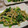 3匹の子ブタｍａｍａ's cooksnap of when they made エノキとネギをオイマヨで♪.
