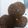 ヒデミ's cooksnap of when they made サク！しっとり＊ダブルブラウニークッキー.