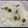 maki_n's cooksnap of when they made 炊飯器のお任せ！豆ごはん。.