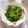 みぽぽ37's cooksnap of when they made ほうれん草のおひたしナムル風.