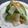 kaiko子's cooksnap of when they made ✿ＥＣＯ✿ナムル風浅漬け♫♬.