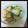ｓｗｅｅｔｉｏ's cooksnap of when they made 叩き蕪のおかか味噌和え.