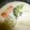 yomechann's cooksnap of when they made ☆ブロッコリーと根菜のミルクスープ☆.