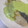 はっぴーはりぼ's cooksnap of when they made 鱈のムニエル★枝豆ソース.