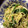 ぼのん's cooksnap of when they made もやしとほうれん草とえのき✿ごま和え.