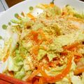 犬Gyami's cooksnap of when they made 白菜とにんじんのサラダ？.