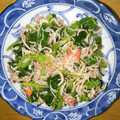 ちょこちょこ♬'s cooksnap of when they made ほうれん草の明太しらす和え.