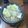 BOBUWO's cooksnap of when they made 簡単！飽きない☆大根のヘルシー鍋.