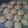 はるかっち１号's cooksnap of when they made 簡単♩さくさくクッキー.