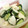 夜の繭's cooksnap of when they made 簡単☆大根ときゅうりの塩麹＆昆布茶漬け♪.