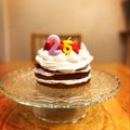 酔いどれ番長's cooksnap of when they made 米粉のココアスポンジ！小麦乳卵不使用♪.