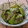 あーこ姐's cooksnap of when they made ピーマンの焦がし醤油炒め♪.