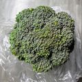 のんべぇヒロ's cooksnap of when they made ブロッコリーの選び方と鮮度の保ち方❤️.