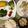 ぐりtoぐら's cooksnap of when they made にんにくパワー全開！！手羽元スープ煮込み.