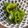 run※'s cooksnap of when they made 簡単☆早くて美味しいピーマンのポン酢炒め.