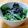 はやずみ's cooksnap of when they made ドレッシングなしで美味しいサラダ①.