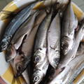 ノドコ's cooksnap of when they made 簡単！豆あじの下処理.
