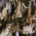 瞳・奏mama's cooksnap of when they made ごぼうと牛肉の甘辛煮♡お弁当にも♬.