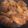 みゆりん姫's cooksnap of when they made 鶏もも肉のマーマレード焼き.