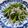 あっこ姉's cooksnap of when they made 菜の花と小女子の炒め蒸し.