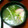 おかかうめ's cooksnap of when they made 簡単すぎる♥豆苗とえのきのスープ♥.