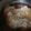 shimushino's cooksnap of when they made ★鯖のみぞれ煮★.